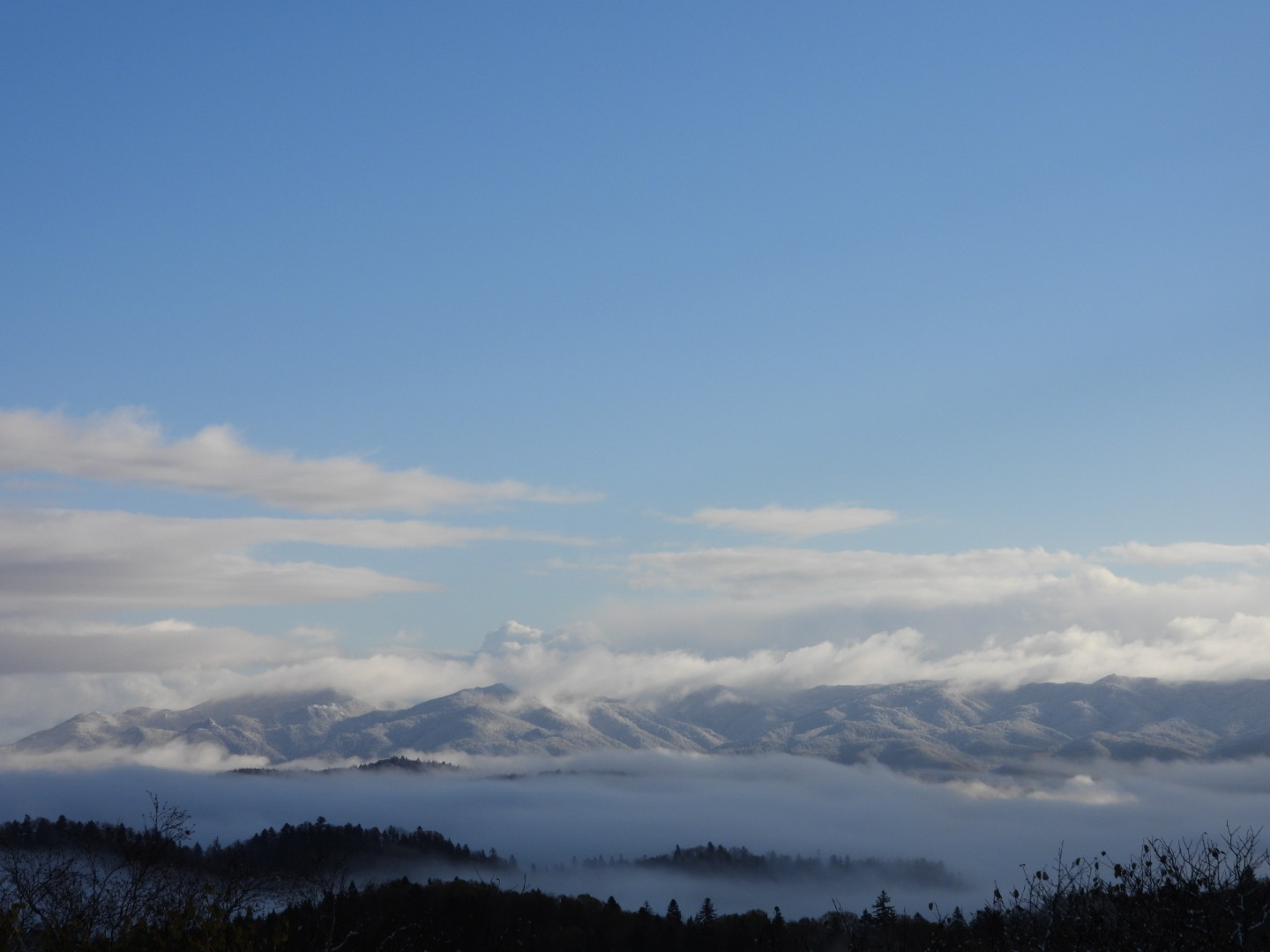 雲海と雪原のフィールド体験
